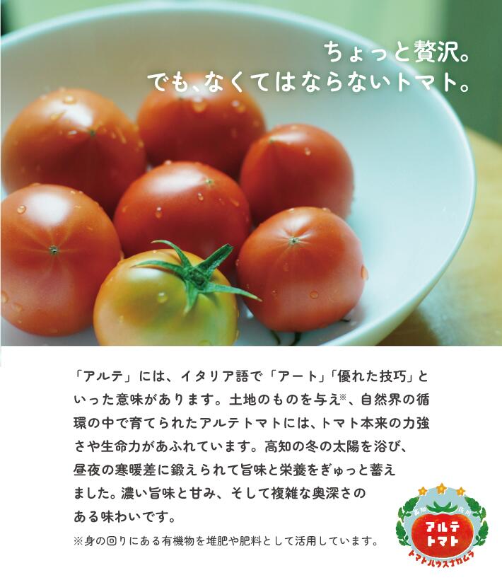 【ふるさと納税】＜アルテトマト 約1.6kg（20-35玉）＞ フルーツトマト 高知県 佐川町 トマトハウスナカムラ 野菜 贈答用 【常温】リピーター多数 高糖度 ギフト 栽培期間中化学農薬不使用 　＜2026年1月～5月頃発送予定＞ サムネイル2