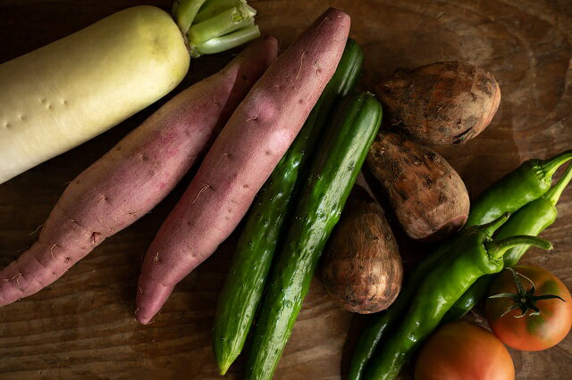 【ふるさと納税】越知産市の季節の野菜セット 年4回発送 産地直送 旬の野菜詰め合わせ 高知県産 新鮮な野菜を旬の時期にお届け 2回目以降は着日時間指定可能 冷蔵配送 こうち育ち 彩り豊かな野菜セット サムネイル2