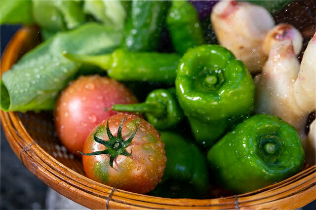 【ふるさと納税】越知産市の季節の野菜セット 年4回発送 産地直送 旬の野菜詰め合わせ 高知県産 新鮮な野菜を旬の時期にお届け 2回目以降は着日時間指定可能 冷蔵配送 こうち育ち 彩り豊かな野菜セット サムネイル3