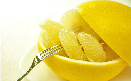 【ふるさと納税】【2026年発送　先行予約】 土佐文旦（約3kg）　フルーツ 果物 新鮮 産直 土佐 高知名産 高知県 越知町 柑橘 仁淀川 サムネイル3