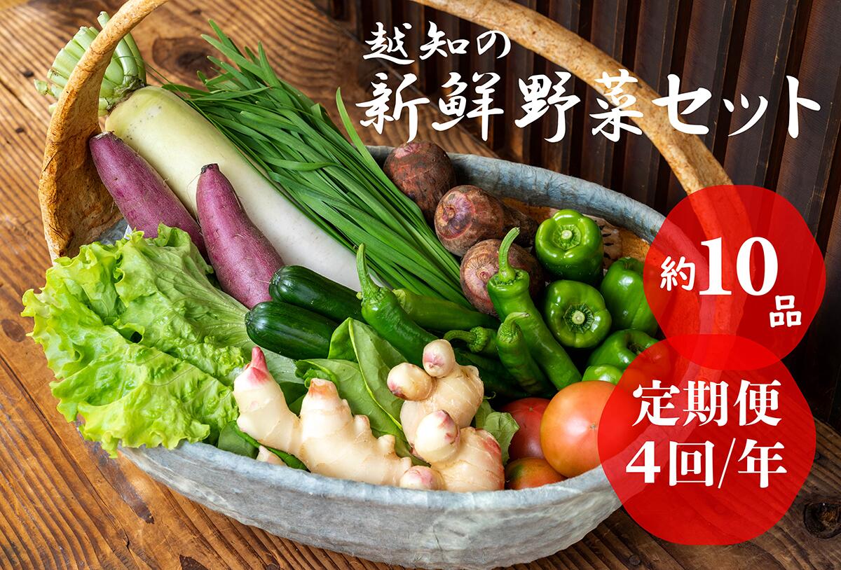 越知産市の季節の野菜セット 年4回発送 産地直送 旬の野菜詰め合わせ 高知県産 新鮮な野菜を旬の時期にお届け 2回目以降は着日時間指定可能 冷蔵配送 こうち育ち 彩り豊かな野菜セット