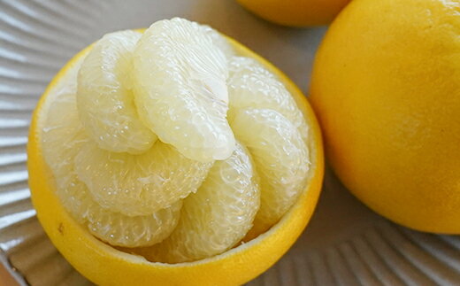 【ふるさと納税】【先行予約・2026年1月】土佐文旦 家庭用 10kg　数量限定 高知県産 文旦 路地 農家直送 訳あり 早出し サムネイル2