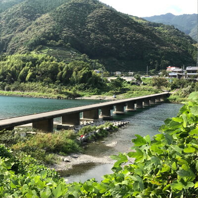 【ふるさと納税】農家直送 高知県産 生姜 2kg｜低農薬栽培・熟成仕上げ｜壬生農園のこだわり囲いしょうが - 画像3