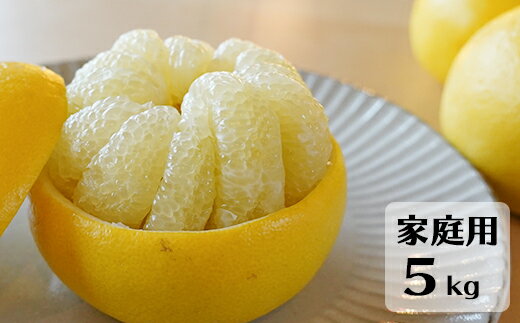 【先行予約・2026年1月】土佐文旦 家庭用 5kg　数量限定 高知県産 文旦 路地 農家直送 訳あり 早出し