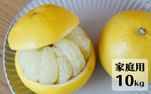【先行予約・2026年1月】土佐文旦 家庭用 10kg　数量限定 高知県産 文旦 路地 農家直送 訳あり 早出し