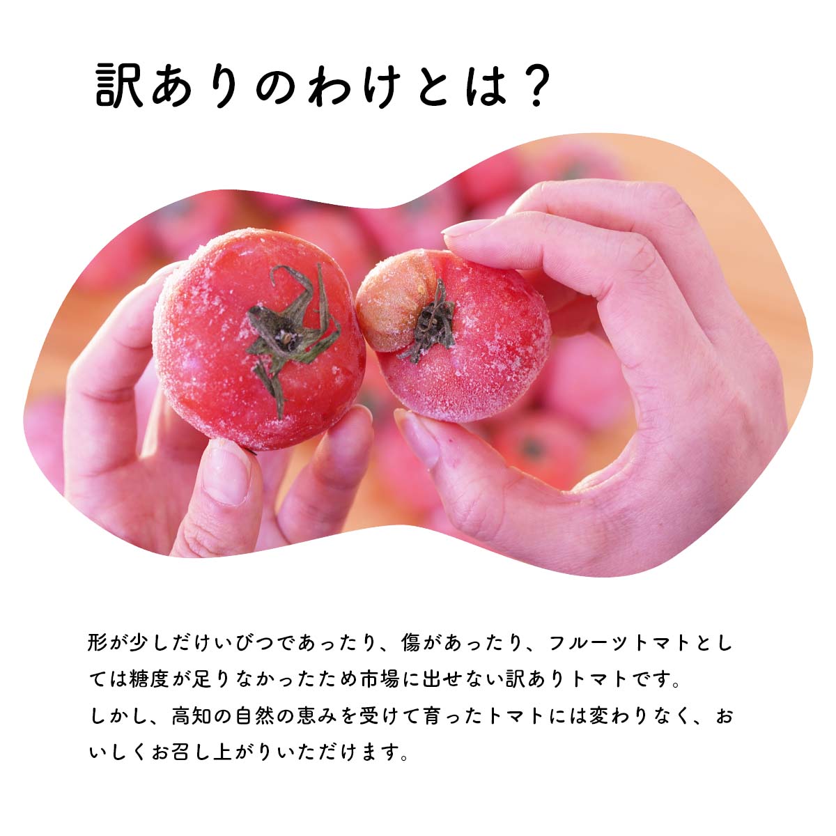 【ふるさと納税】【訳あり】冷凍トマト・お試し30個／約1.5kg 冷凍で皮むき簡単。保存がきく！ サムネイル3