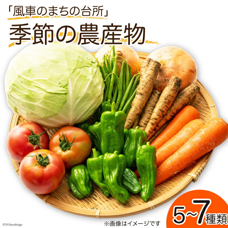 「風車のまちの台所」 季節の農産物 5〜7種類 [有限会社津野町ふるさとセンター 高知県 津野町 26ar0007] 野菜 季節 お野菜 旬 国産 国産野菜 冷蔵