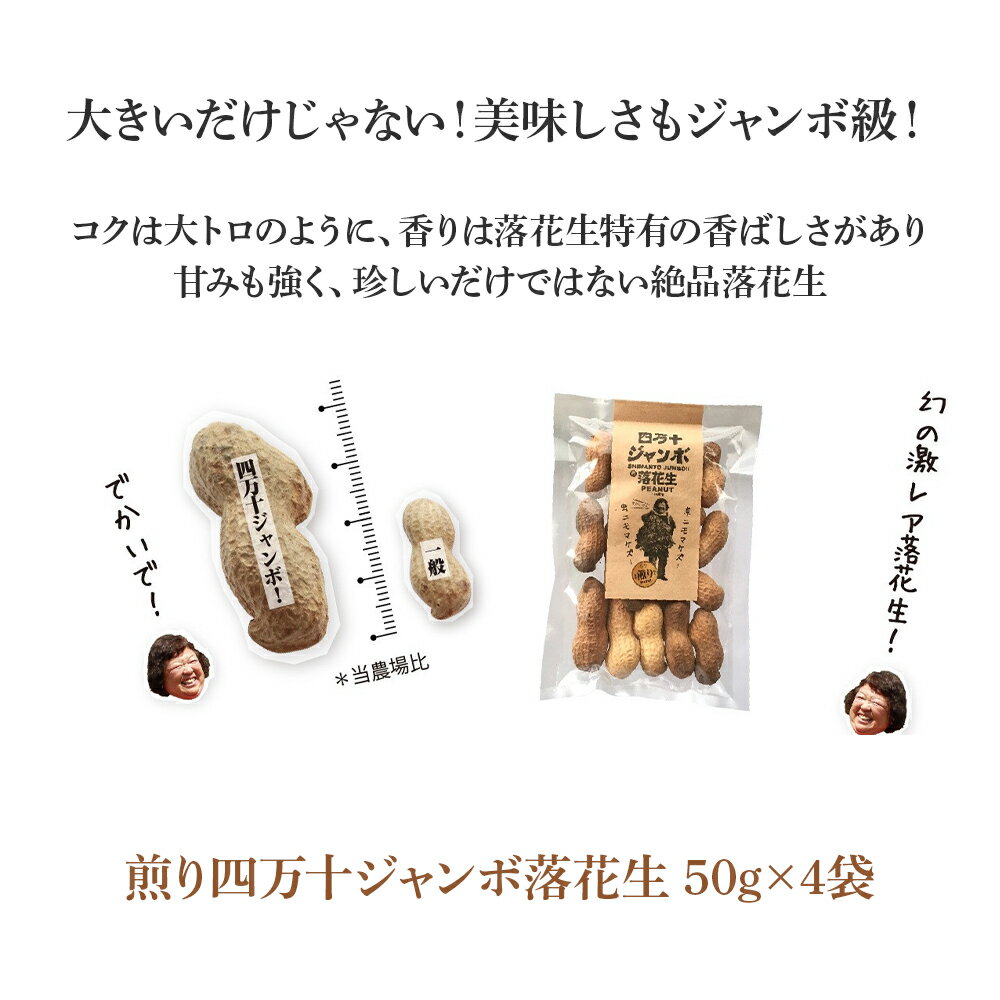 【ふるさと納税】新豆　激レア！四万十ジャンボ煎り落花生 煎りたてオーダー焙煎直送 ／Fsy-09 - 画像2