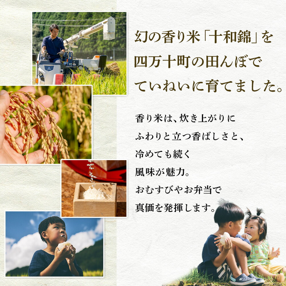 【ふるさと納税】四万十育ち！冷めても香る幻の米『香り米』　5kg　米 こめ コメ 農家 おむすび お米 おこめ 十和錦 お弁当 贈答品 香り米／Fnp-01 - 画像2