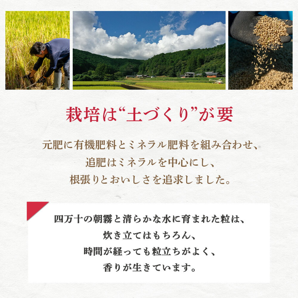 【ふるさと納税】四万十育ち！冷めても香る幻の米『香り米』　5kg　米 こめ コメ 農家 おむすび お米 おこめ 十和錦 お弁当 贈答品 香り米／Fnp-01 - 画像3