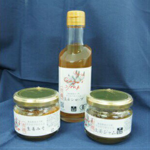 Ftf-02 ゆうきのもりの有機黄金生姜満喫セット