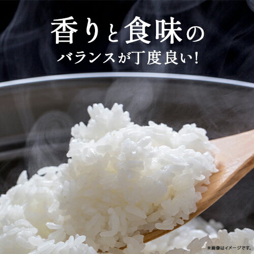 【ふるさと納税】◎令和7年産◎絶妙なバランスが大好評！井上米穀店のオススメ2点10kgセット（5kg×2セット）／Bib-B02 香るお米 米 こめ コメ 農家 こだわり お米 おこめ ブランド米 米処 食べ比べ 5キロ 10キロ - 画像3
