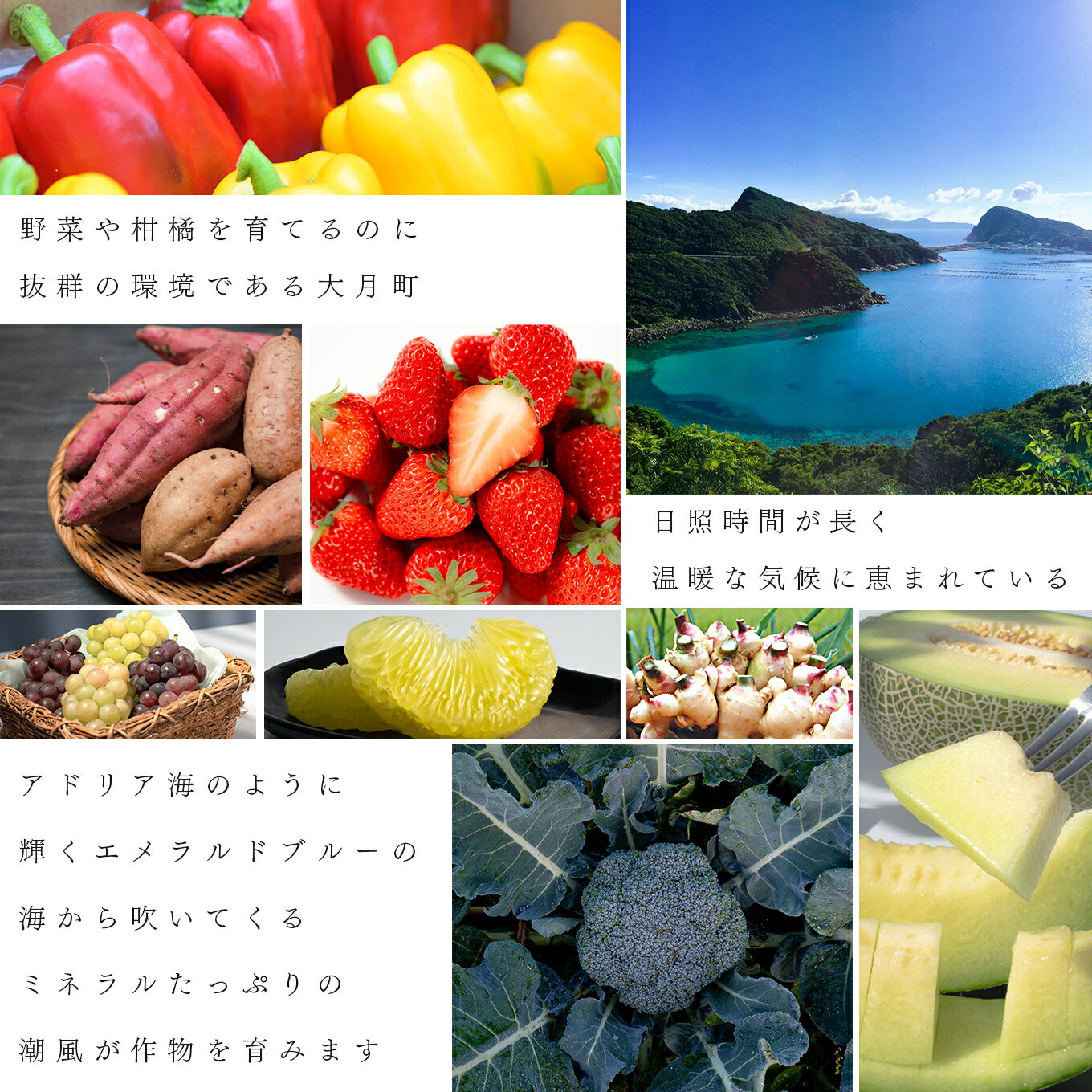 【ふるさと納税】【定期便 10回】旬のお野菜 フルーツ セット｜新鮮 産地直送 果物 健康志向 ギフト 贈り物 人気 おすすめ いちご 紅ほっぺ 土佐文旦 朝どれブロッコリー 柑橘 パプリカ メロン ぶどう 新生姜 レモン 芋 詰め合わせ お取り寄せ 大月町 サムネイル2