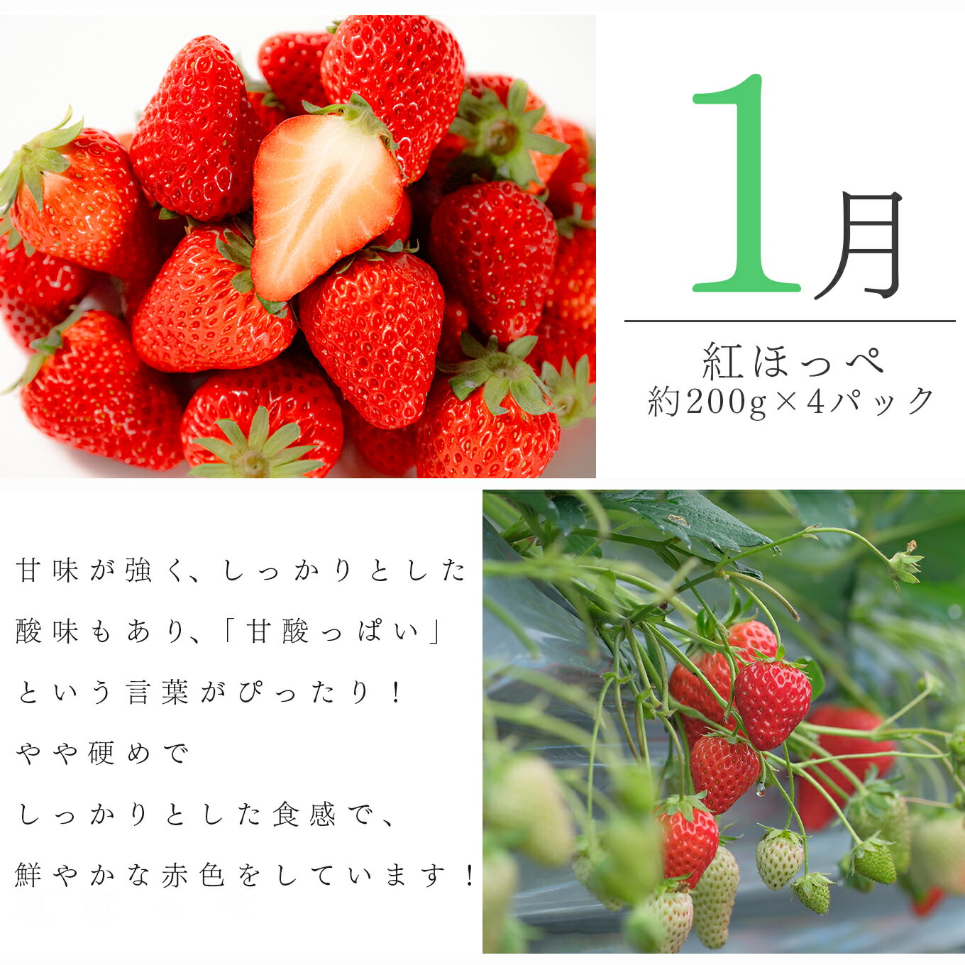 【ふるさと納税】【定期便 10回】旬のお野菜 フルーツ セット｜新鮮 産地直送 果物 健康志向 ギフト 贈り物 人気 おすすめ いちご 紅ほっぺ 土佐文旦 朝どれブロッコリー 柑橘 パプリカ メロン ぶどう 新生姜 レモン 芋 詰め合わせ お取り寄せ 大月町 サムネイル3