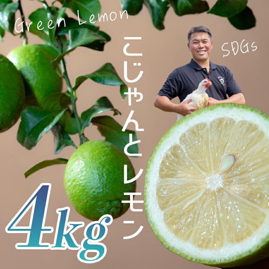 こじゃんとレモン 4kg｜国産 高知県 大月町 レモン 檸檬 レモン水 フルーツ グリーンレモン イエローレモン 果実 柑橘 新鮮 ビタミンC 採れたて フレッシュ 季節の果物 産地直送 美容 健康 安心安全 国産レモン ギフト おすすめ