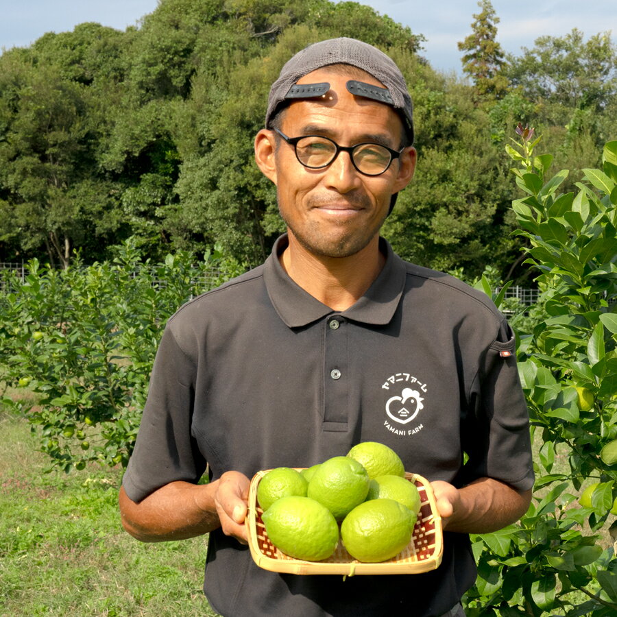 【ふるさと納税】こじゃんとレモン 4kg｜国産 高知県 大月町 レモン 檸檬 レモン水 フルーツ グリーンレモン イエローレモン 果実 柑橘 新鮮 ビタミンC 採れたて フレッシュ 季節の果物 産地直送 美容 健康 安心安全 国産レモン ギフト おすすめ サムネイル3