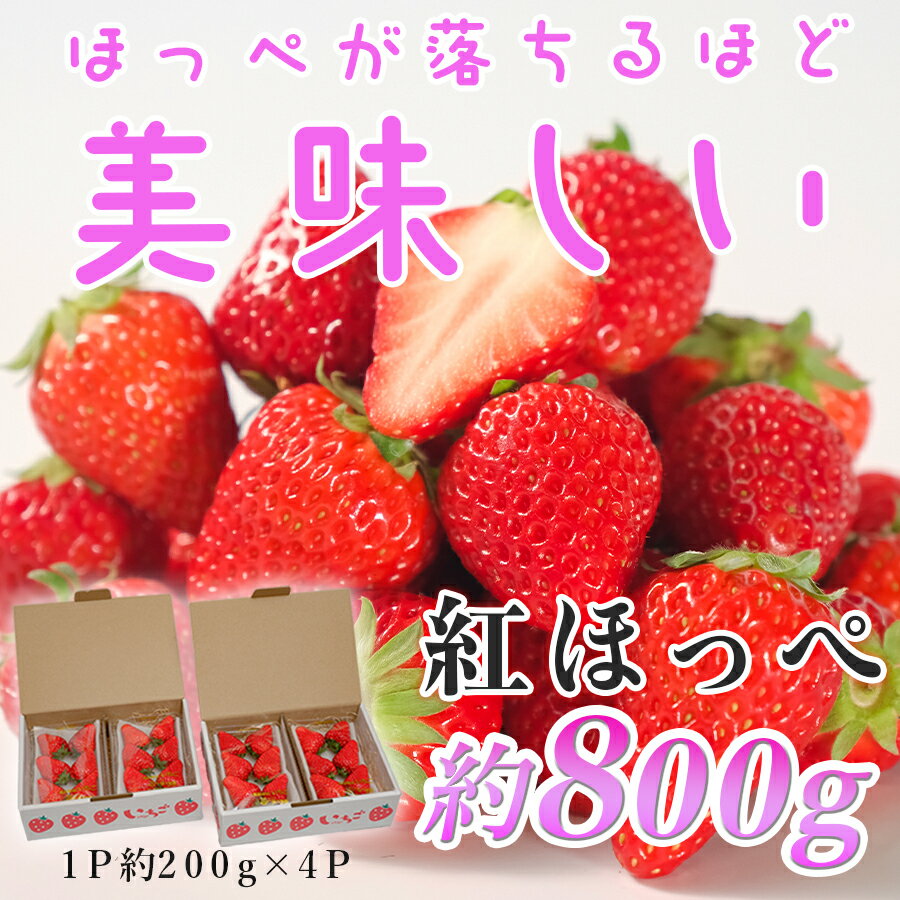 【高知県 大月町産】紅ほっぺ　約200g×4パック｜いちご 800g 果物 フルーツ 苺 イチゴ くだもの 野菜 旬 美味しい 朝採り 新鮮 期間限定 ご褒美 産地直送 贈答用 自宅用 高知県 大月町 国産 ハウス栽培 甘いいちご 甘い苺