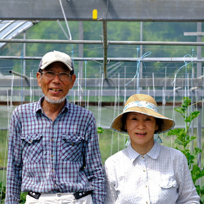 【ふるさと納税】囲生姜 約1.2kg 生姜 しょうが ショウガ ジンジャー 囲い生姜 国産 薬味 辛み 香り スパイス 野菜 煮物 炒め物 ガリ 紅生姜 ジンジャーシロップ 生姜ジャム 土佐 産地直送 高知県 大月町産 田村農園 - 画像3