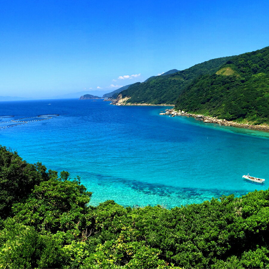 【ふるさと納税】フィッシュレザー フィレ型キーホルダー【鰤】Dark Green サムネイル3