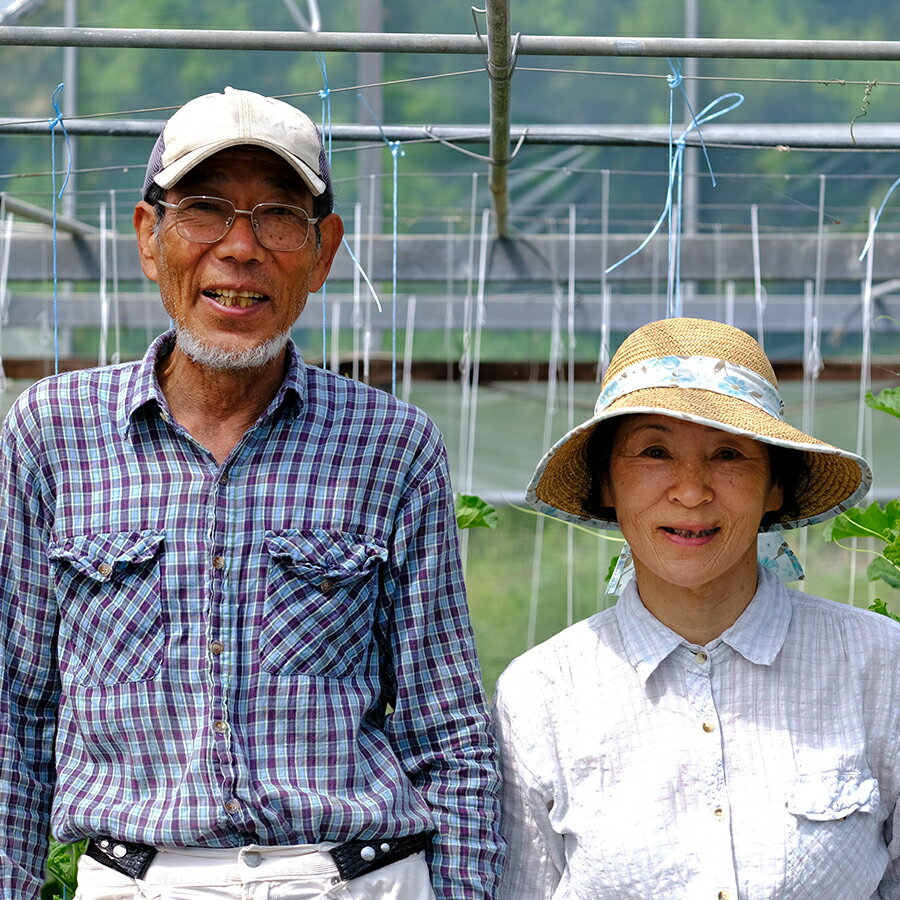 【ふるさと納税】肉厚 パプリカ 8個 彩り野菜 旬 甘い ぱぷりか 赤パプリカ 黄パプリカ 緑黄色野菜 新鮮野菜 やさい 有機肥料 赤黄ミックス 詰め合わせ ジューシー ピーマン ピクルス マリネ 肉詰め サラダ バーベキュー BBQ レッド イエロー - 画像2