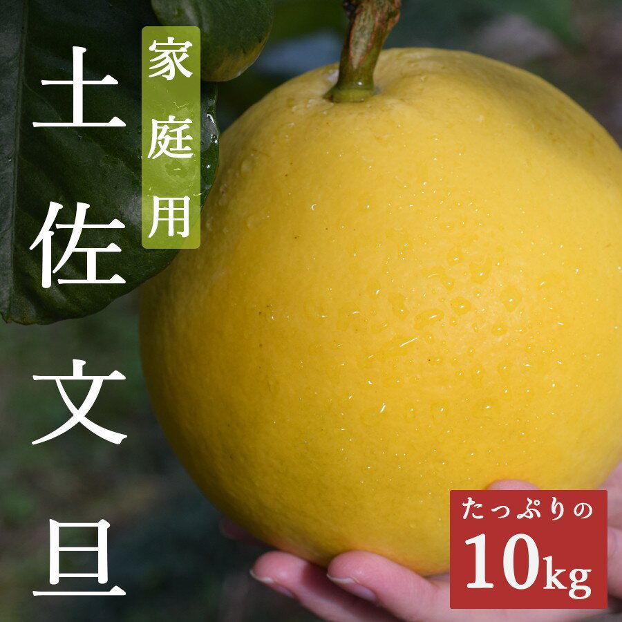 【家庭用大満足の10kg！】温暖な気候が育んだ土佐文旦
