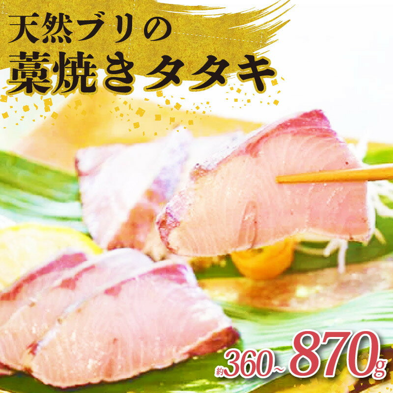 土佐沖獲れ 天然 ぶり 藁焼き たたき 選べる 360g～870g 3～8個 鰤 ブリ ぶりのたたき わら焼き 鰤のたたき 鰤たたき 鮮魚 魚介類 魚 海鮮 お魚 お刺身 刺し身 刺身 おかず 小分け 高知県 黒潮町 ふるさと納税ぶり ふるさと納税鰤