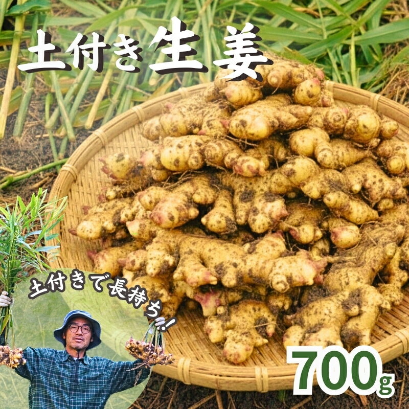 こだわり 農法 生姜 土付き 700g 高知県 黒潮町 産 自然 新鮮 しょうが 野菜 やさい 調味料 やくみ 薬味 ジンジャーエール ふるさと納税 人気 ふるさと納税生姜 高知県 黒潮町