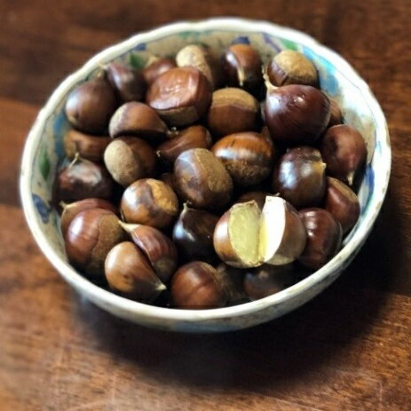 茹で 七立 栗 黒潮町 産 冷凍 200g×4パック 栗 和栗 秋 秋の味覚 旬 和栗 人気 フルーツ 焼き栗 栗ご飯 栗きんとん モンブラン 秋ギフト 季節限定 期間限定 ふるさと納税栗 ［1314］