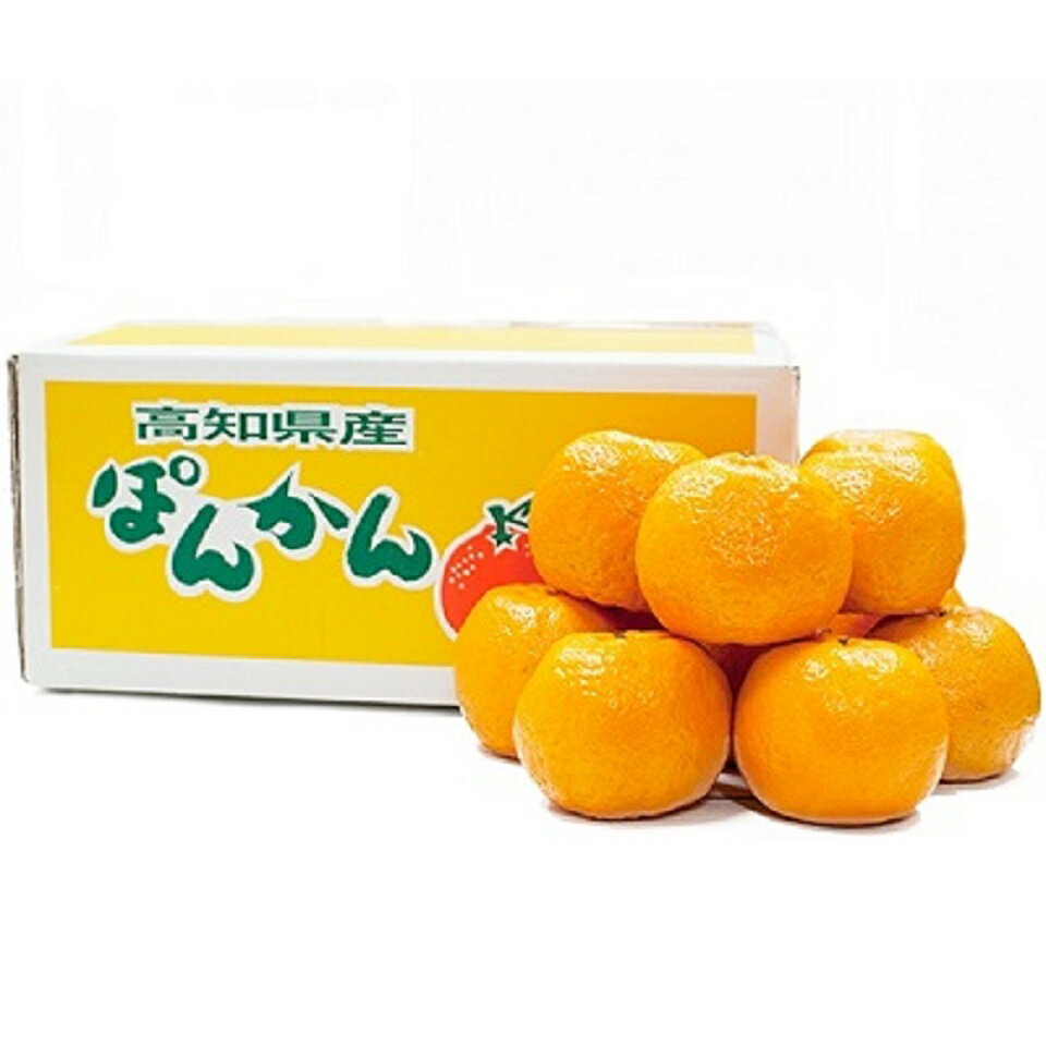 【ふるさと納税】植田農園 の ポンカン 5kg 高知県 産（ご 家庭用 ） ［1183］ サムネイル2