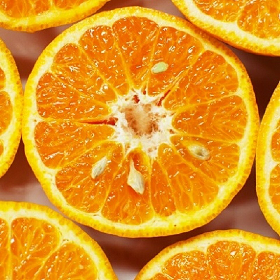 植田農園 の ポンカン 5kg 高知県 産（ご 家庭用 ） ［1183］