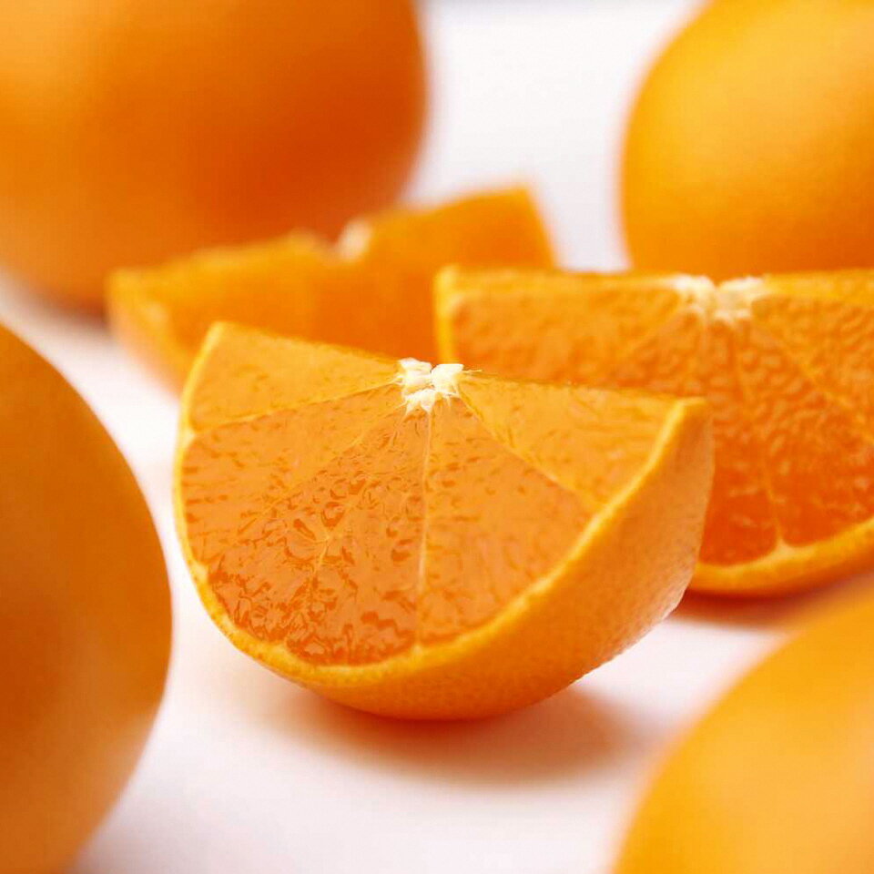 高級 柑橘 温室 せとか 秀品 3L 品 10個入り 約3kg みかん 蜜柑 果物 フルーツ 柑橘類 期間限定 季節限定 数量限定 人気 旬 甘い ジューシー 完熟 ふるさと納税柑橘 ふるさと納税みかん ［1201］