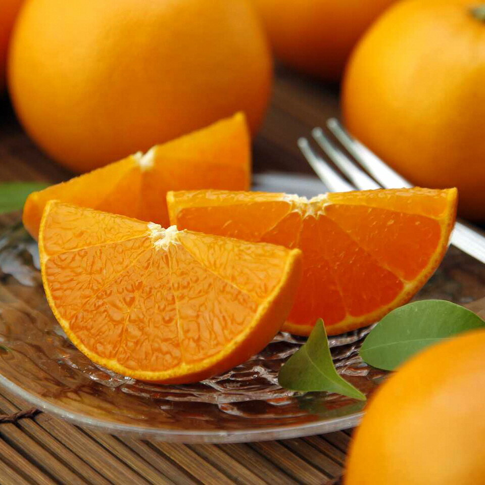 【ふるさと納税】 高級 柑橘 温室 せとか 秀品 3L 品 10個入り 約3kg みかん 蜜柑 果物 フルーツ 柑橘類 期間限定 季節限定 数量限定 人気 旬 甘い ジューシー 完熟 ふるさと納税柑橘 ふるさと納税みかん ［1201］ サムネイル3