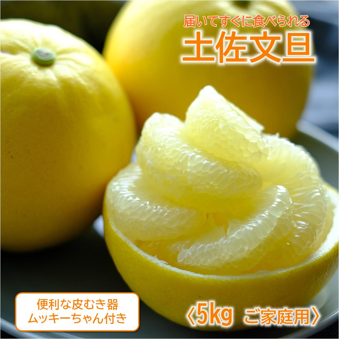 土佐文旦 5kg L〜3L ご家庭用 高知 黒潮町 文旦 ぶんたん 柑橘 フルーツ 果物 文旦5kg 家庭用文旦 9〜12個 皮むき器 ムッキーちゃん付き 産地直送 citrus 高知県 黒潮町