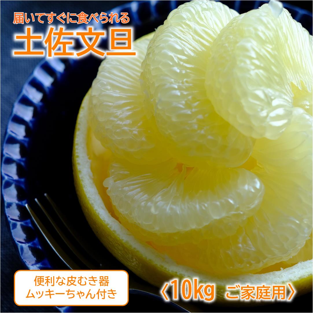 届いてすぐに食べられる 土佐文旦 10kg（ご 家庭用 ） ムッキーちゃん 付き［1463］