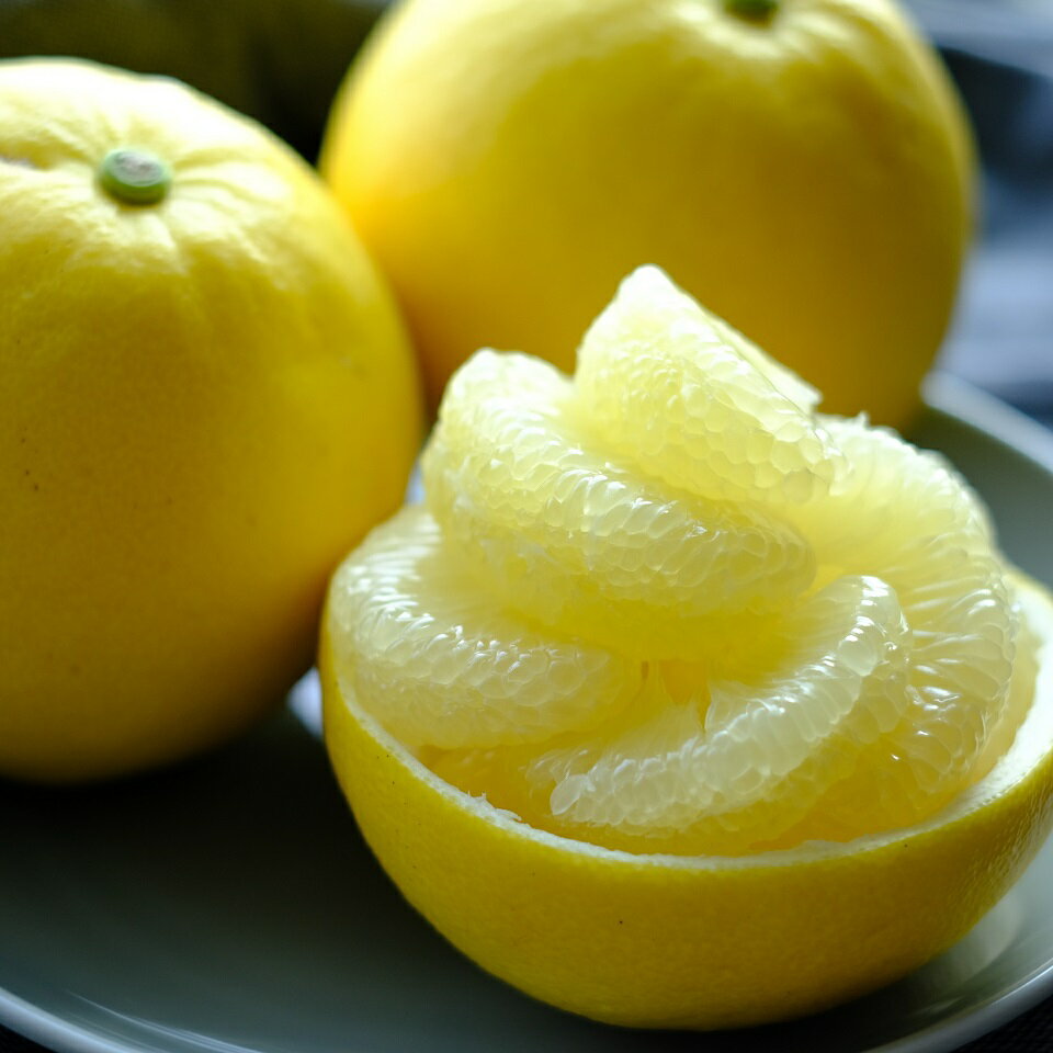 【ふるさと納税】届いてすぐに食べられる 土佐文旦 10kg（ご 家庭用 ） ムッキーちゃん 付き［1463］ サムネイル3