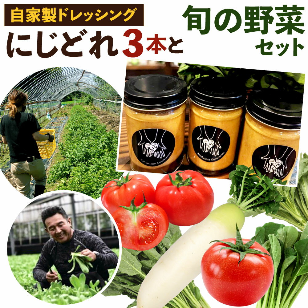 自家製 ドレッシング 「にじどれ」 3本 と 旬の野菜 セット 160g×3本 野菜 サラダ 調味料 大根・トマト・ほうれん草・小松菜・大葉春菊など 新鮮 イタリアン 福岡県 九州 送料無料