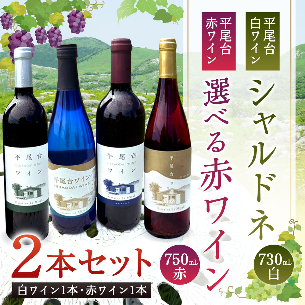 【ふるさと納税】〈2本セット〉平尾台白ワイン・シャルドネ(730ml)と 選べる赤ワイン(750ml) カベルネ・ソーヴィニヨン / メルロー / ピノ・ノワール ワイン 赤白ワイン 平尾台産ブドウ お酒 瓶 ブドウワイン ぶどう シャルドネ 福岡県北九州市 サムネイル2