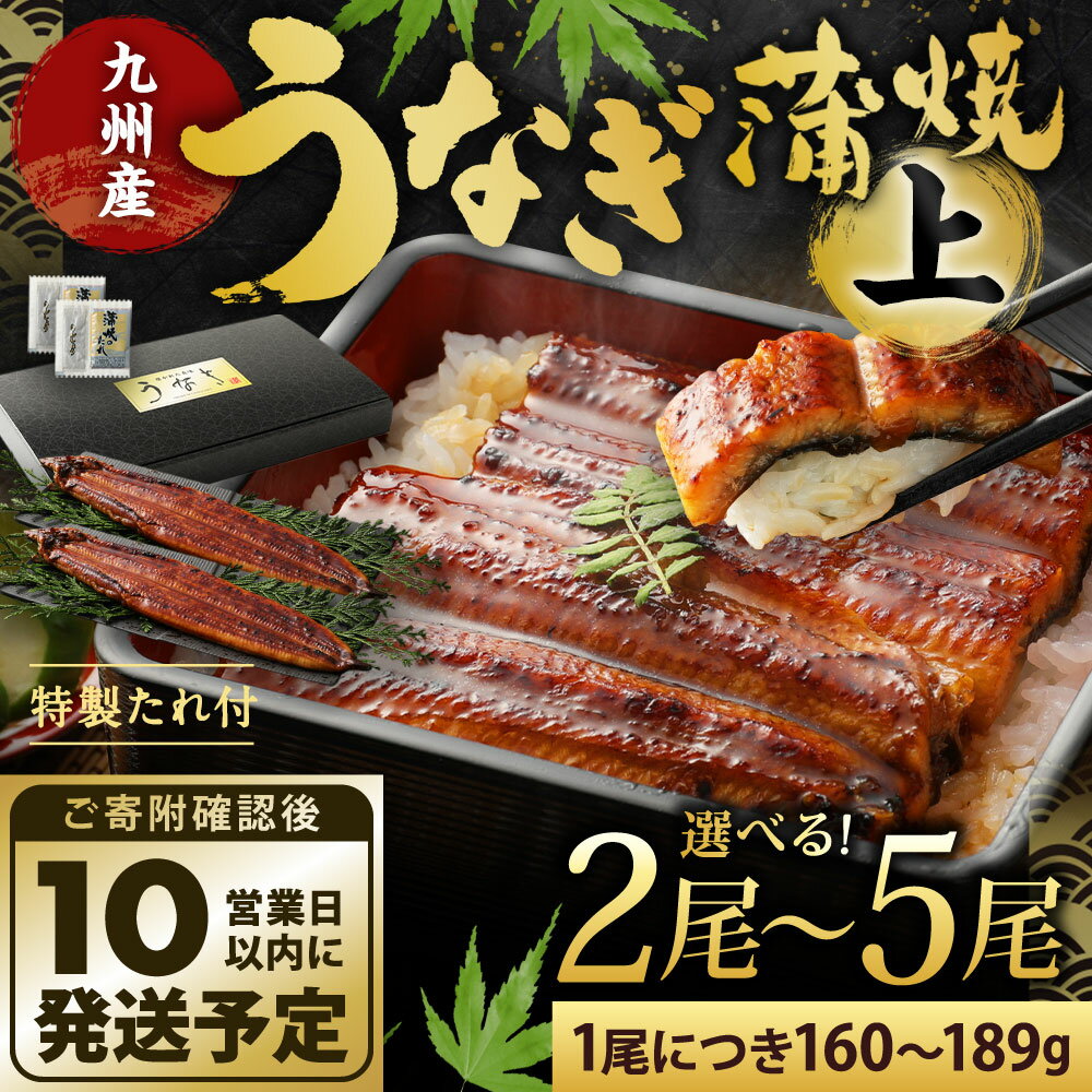 【ふるさと納税】九州産 うなぎ 蒲焼 上(1尾あたり160〜189g) 2尾／3尾／4尾／5尾 特製たれ・山椒付き 鰻 ウナギ 蒲焼き 大きい 冷凍 国産 送料無料 鹿児島、宮崎、熊本等産うなぎ原料使用 サムネイル2