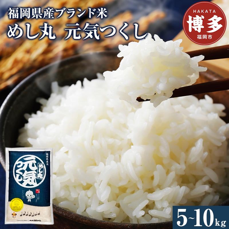 福岡県産めし丸元気つくし 選べる容量 5～10kg | 福岡県 福岡市 福岡 九州 返礼品 楽天ふるさと 納税 お取り寄せグルメ 取り寄せ グルメ 食品 お取り寄せ 米 元気つくし お米 おこめ こめ コメ 新米 白米 精米 おいしい 美味しい ご当地 国産 おいしい米