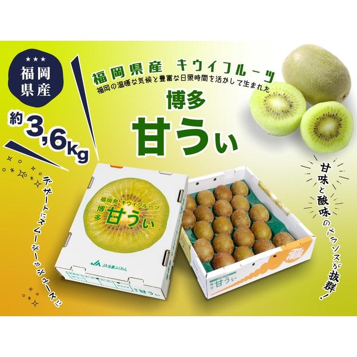 ＜2026年発送分・先行予約＞博多「甘うい」の贅沢果実　約3.6kg | フルーツ 果物 くだもの 食品 人気 おすすめ 送料無料