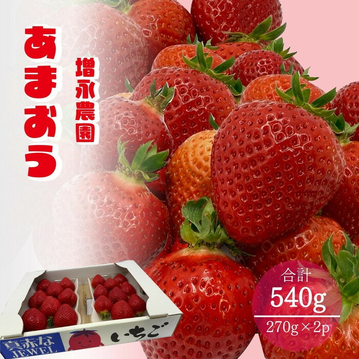 【2026年1月下旬発送開始】増永農園のあまおう270g×2パック | フルーツ 果物 くだもの 食品 人気 おすすめ 送料無料