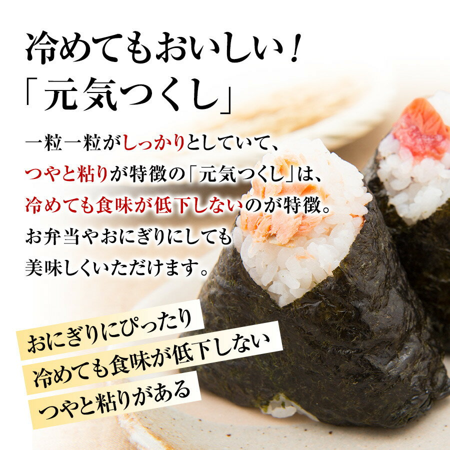 【ふるさと納税】福岡県産めし丸元気つくし 選べる容量 5～10kg | 福岡県 福岡市 福岡 九州 返礼品 楽天ふるさと 納税 お取り寄せグルメ 取り寄せ グルメ 食品 お取り寄せ 米 元気つくし お米 おこめ こめ コメ 新米 白米 精米 おいしい 美味しい ご当地 国産 おいしい米 - 画像2