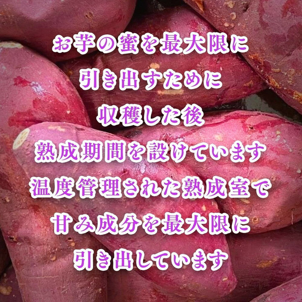 【ふるさと納税】冷やし焼き芋1キロ（真空パック4〜6個入）【福岡市内製造】 - 画像3