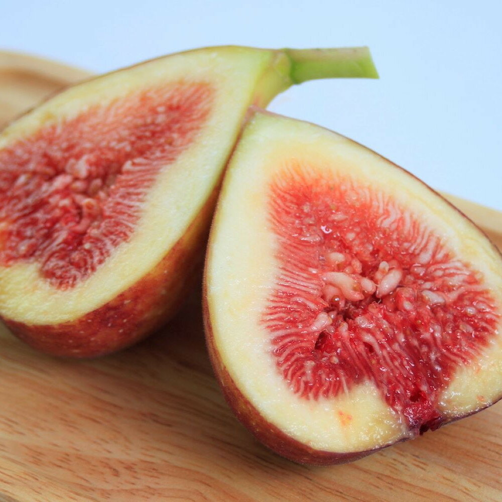 【ふるさと納税】福岡ブランド！とよみつひめセミドライフルーツ5個セット サムネイル3