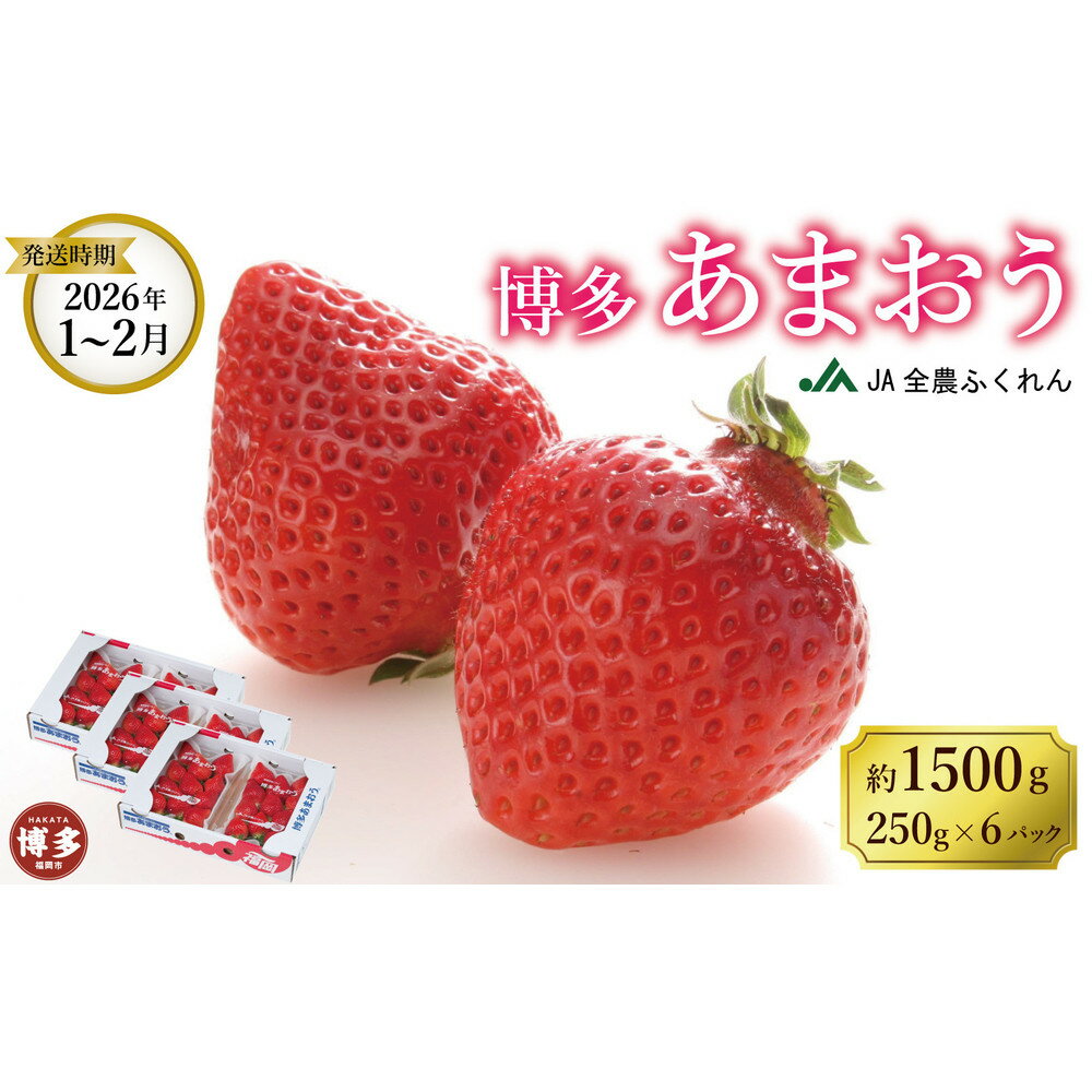 ＜2026年1月～2月発送＞博多あまおう約250g×6