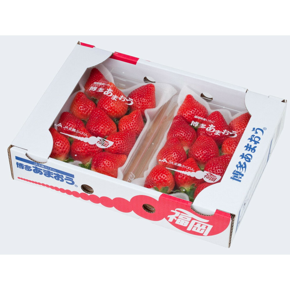 【ふるさと納税】＜2026年1月～2月発送＞博多あまおう約250g×6 サムネイル2