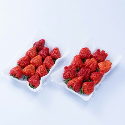 【ふるさと納税】【2026年発送先行予約】酸味と甘みの絶妙なバランス・春あまおう4パック(大牟田市)【配送不可地域：離島・北海道・沖縄県】【1226669】 サムネイル2