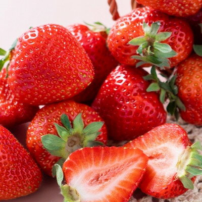 【ふるさと納税】【11月下旬より順次発送】【冬】あまおうDX(デラックス)2パック(大牟田市)【配送不可地域：離島・北海道・沖縄県】【1353629】 サムネイル3