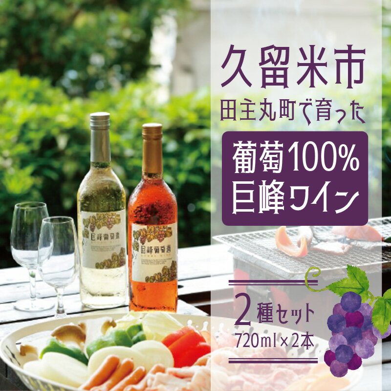 【ふるさと納税】【バリはやッ！ZIPにて紹介されました】巨峰ワイン2本セット 2種 1本 720ml 赤ワイン ルージュ 12% フルーティ 辛口 渋み 酸味 白ワイン 11% お酒甘味 旨味 果実酒 葡萄酒 渋み 酸味 ぶどう 巨峰ワイナリー お取り寄せ 福岡県 久留米市 田主丸町 送料無料 サムネイル2