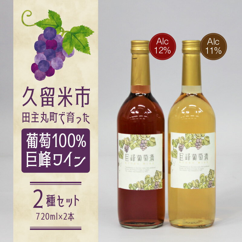 【バリはやッ！ZIPにて紹介されました】巨峰ワイン2本セット 2種 1本 720ml 赤ワイン ルージュ 12% フルーティ 辛口 渋み 酸味 白ワイン 11% お酒甘味 旨味 果実酒 葡萄酒 渋み 酸味 ぶどう 巨峰ワイナリー お取り寄せ 福岡県 久留米市 田主丸町 送料無料